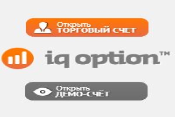 дельфин экко на пк